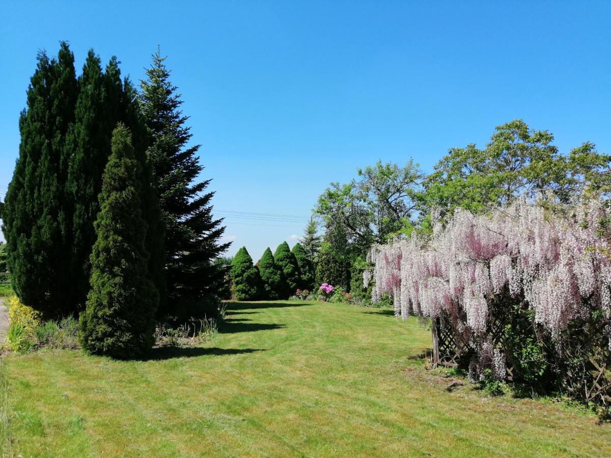 Villa Holma *** Agroturystyka Zbychowo Екстер'єр фото