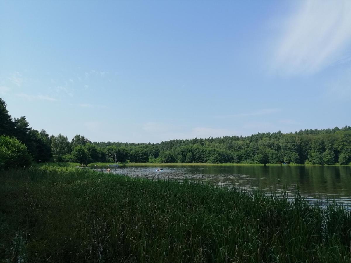 Villa Holma *** Agroturystyka Zbychowo Екстер'єр фото